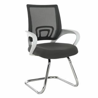 Zasadacia stolička sivá/biela SANAZ TYP 3