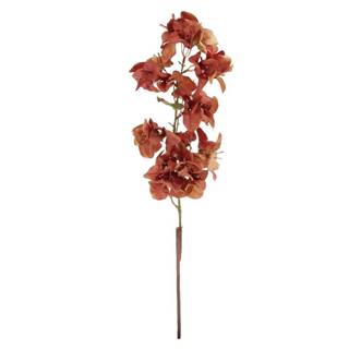 BergHOFF Umelá kvetina Bugenvilie hnedá, 64 cm, značky BergHOFF
