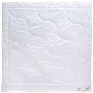 Sleeptex ĽAHKÁ DEKA, 200/200 cm, polyester, rúno, duté vlákno