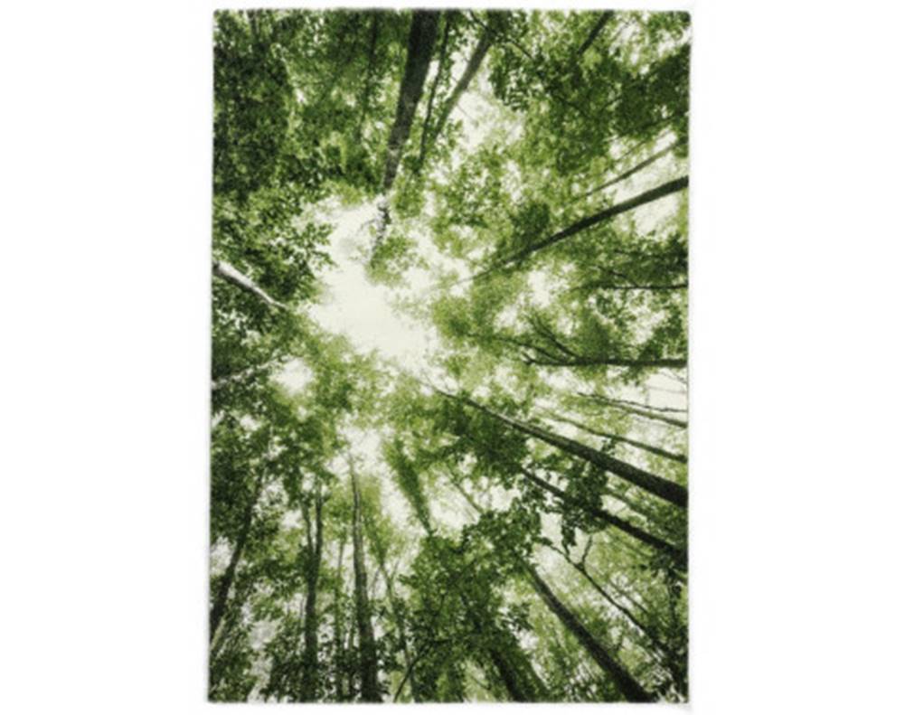 ASKO - NÁBYTOK Koberec Belis 80x150 cm, zelený les, značky ASKO - NÁBYTOK