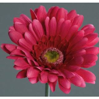 ASKO - NÁBYTOK Umelá kvetina Gerbera 56 cm, fuchsiová, značky ASKO - NÁBYTOK