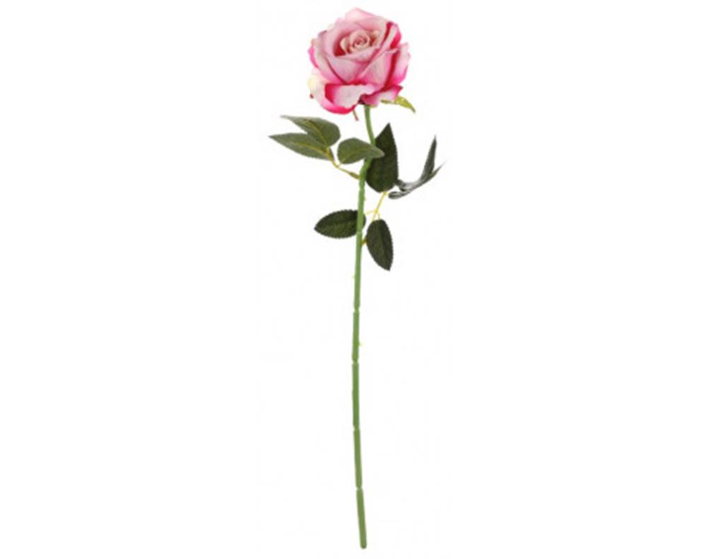 ASKO - NÁBYTOK Umelá kvetina Ruža 52 cm, tmavo ružová, značky ASKO - NÁBYTOK