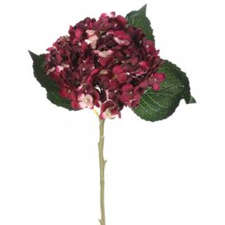 ASKO - NÁBYTOK Umelá kvetina Hortenzia 50 cm, bordó, značky ASKO - NÁBYTOK