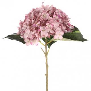 ASKO - NÁBYTOK Umelá kvetina Hortenzia 50 cm, ružová, značky ASKO - NÁBYTOK