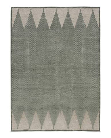 Sivý koberec 170x120 cm Farashe - Universal