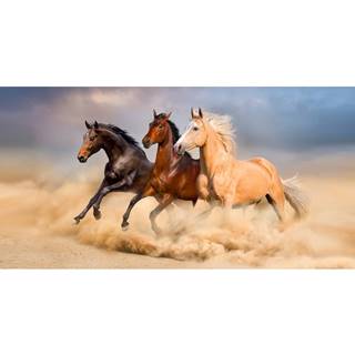Osuška Divé kone v púšti, 70 x 140 cm