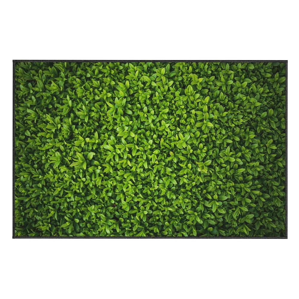 Oyo home Zelený koberec  Ivy, 100 x 140 cm, značky Oyo home