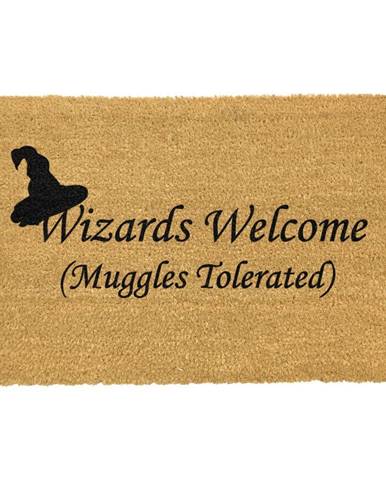 Rohožka z prírodného kokosového vlákna Artsy Doormats Wizards Welcome, 40 x 60 cm